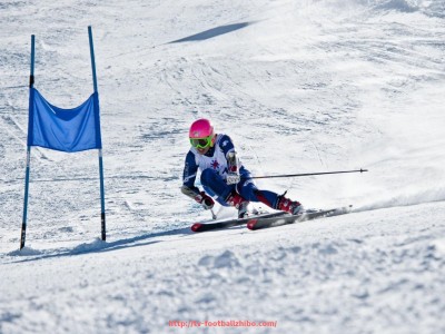 足球直播-多支德甲球队在赛季中进球数据统计与进攻表现比较